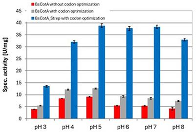 Detoxification of aflatoxin B1 by a Bacillus subtilis spore coat protein through formation of the main metabolites AFQ1 and epi-AFQ1